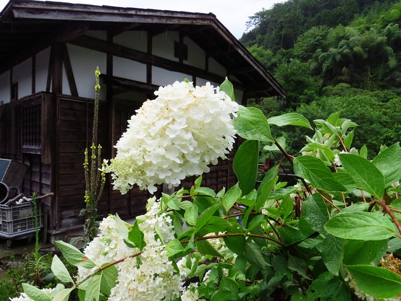 Day7-2江戶旅宿憶往昔─木曾道之馬籠、妻籠宿