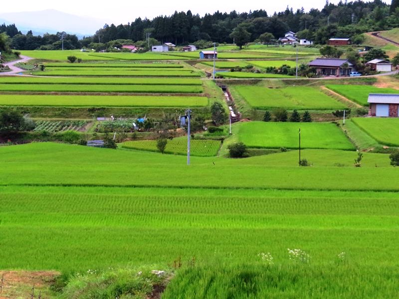 Day7-2江戶旅宿憶往昔─木曾道之馬籠、妻籠宿