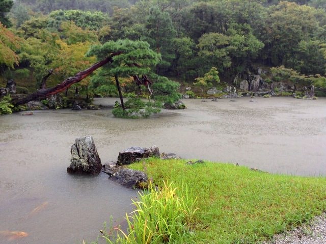 Day8京都嵐山雨中行─西本願寺、松枝料理店、天龍寺