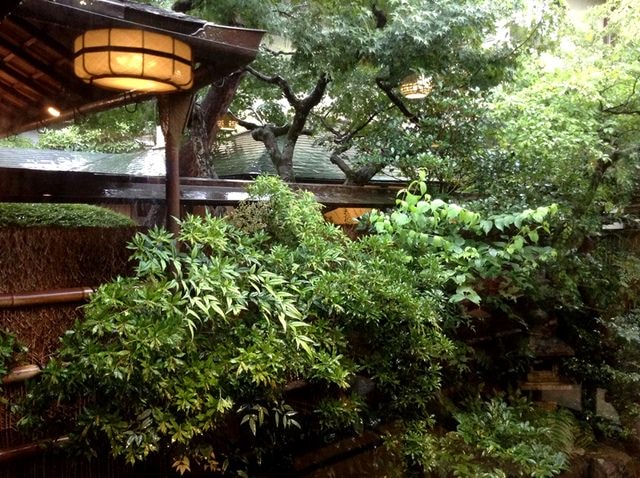 Day8京都嵐山雨中行─西本願寺、松枝料理店、天龍寺