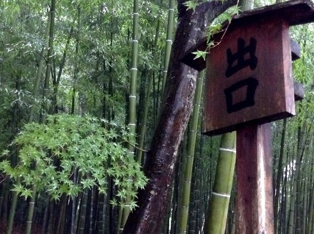 Day8京都嵐山雨中行─西本願寺、松枝料理店、天龍寺