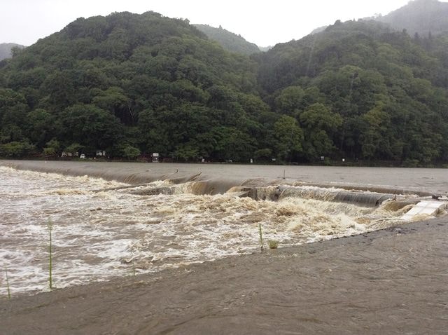 Day8京都嵐山雨中行─西本願寺、松枝料理店、天龍寺