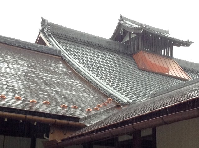 Day8京都嵐山雨中行─西本願寺、松枝料理店、天龍寺