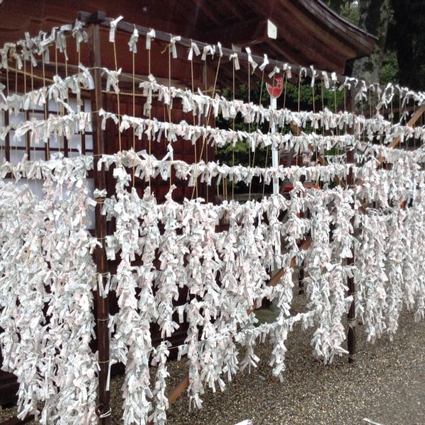 Day9颱風天在京都遛達─祇園、八坂神社、白川、若狭家海鮮丼