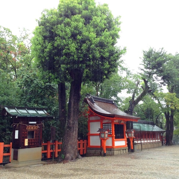 Day9颱風天在京都遛達─祇園、八坂神社、白川、若狭家海鮮丼