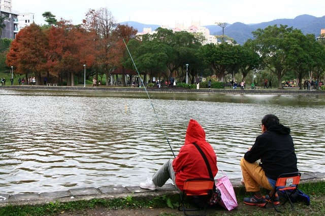 【台北】大湖公園也有落羽松