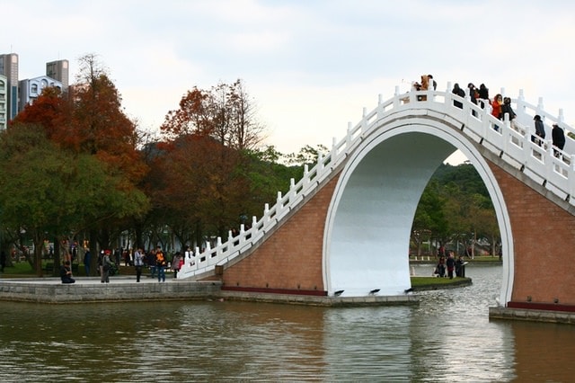 【台北】大湖公園也有落羽松