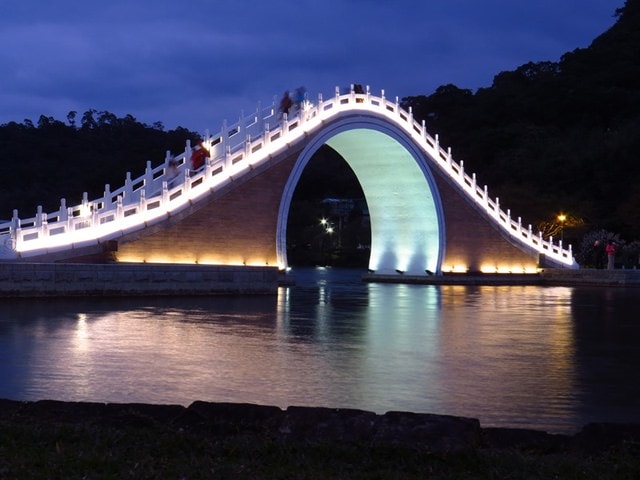 【台北】大湖公園也有落羽松