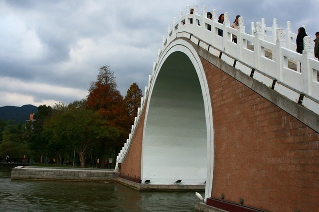 【台北】大湖公園也有落羽松