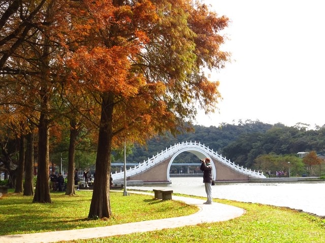 【台北】再訪大湖公園