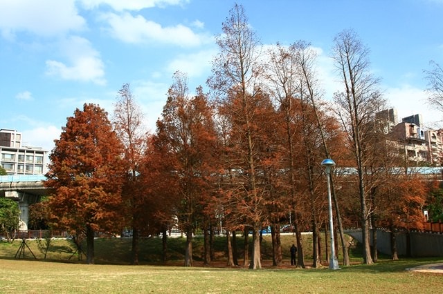 【台北】再訪大湖公園