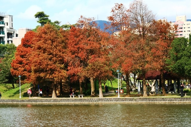 【台北】再訪大湖公園
