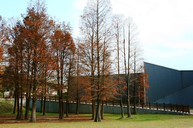【台北】再訪大湖公園
