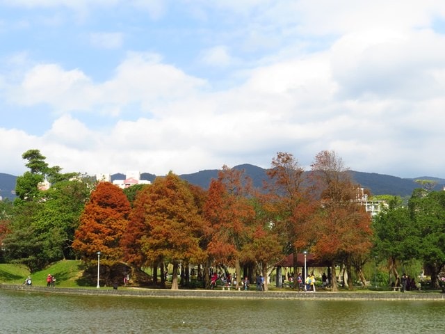 【台北】再訪大湖公園