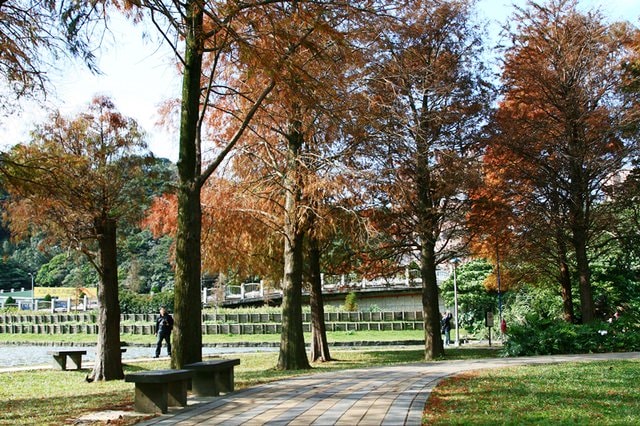 【台北】再訪大湖公園