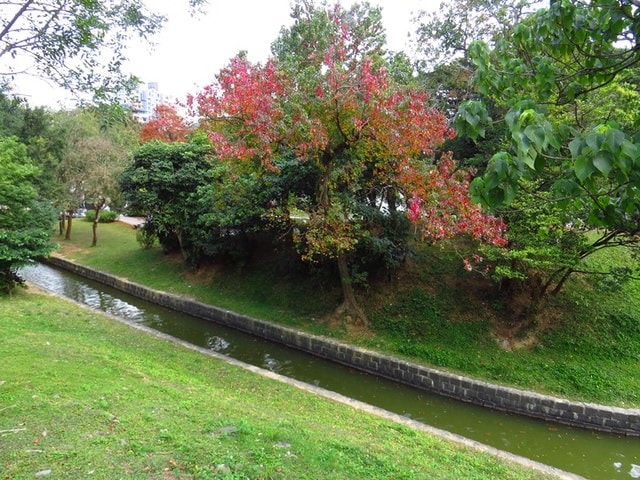 【台北】再訪大湖公園