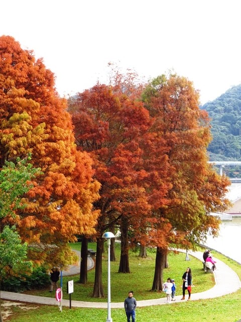 【台北】再訪大湖公園