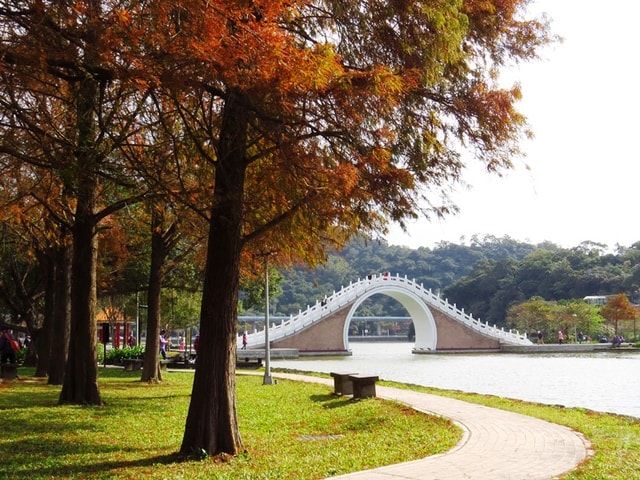 【台北】再訪大湖公園