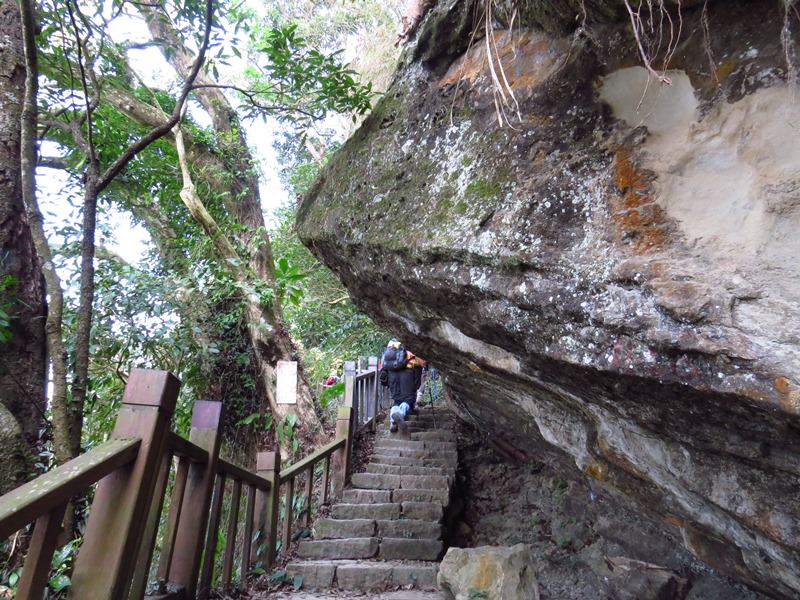 【台南】崁頭山、【高雄】田寮月世界