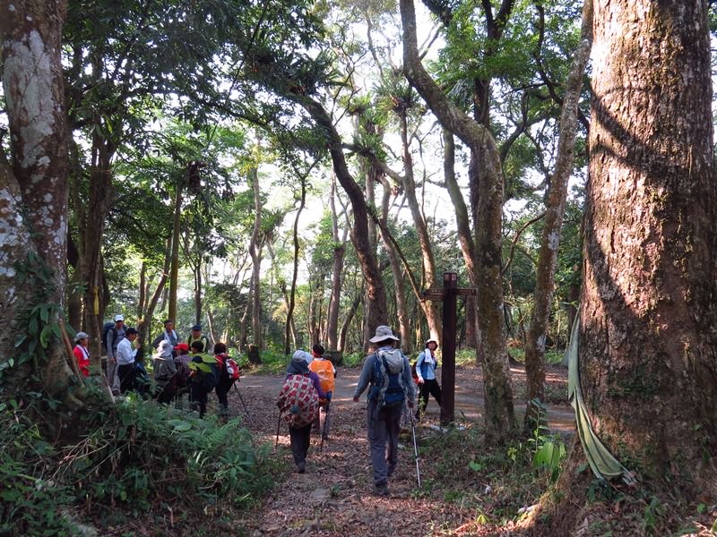 【台南】崁頭山、【高雄】田寮月世界