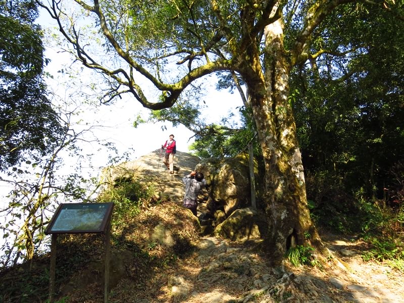 【台南】崁頭山、【高雄】田寮月世界