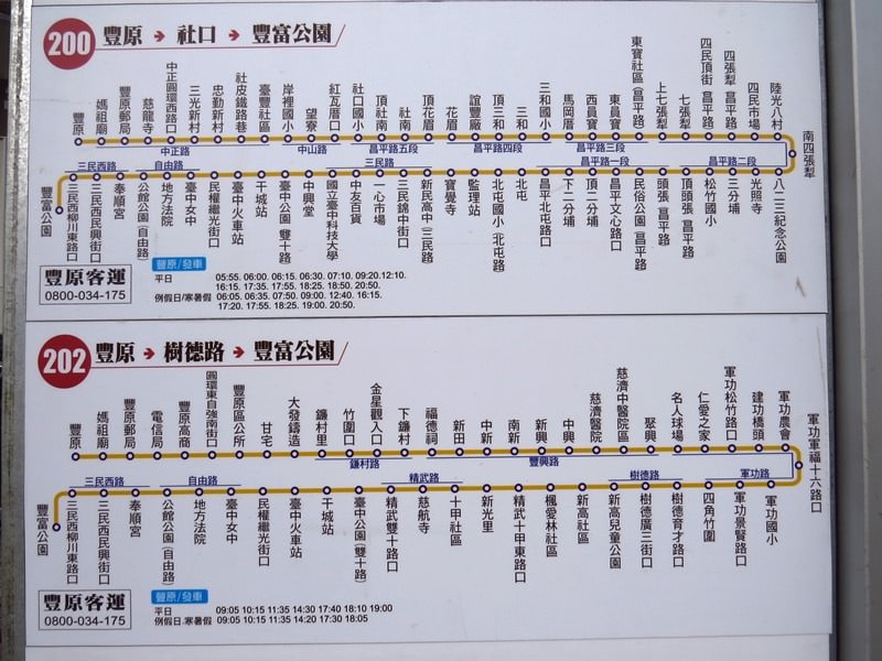 【台中。豐富公園】黃花風鈴木