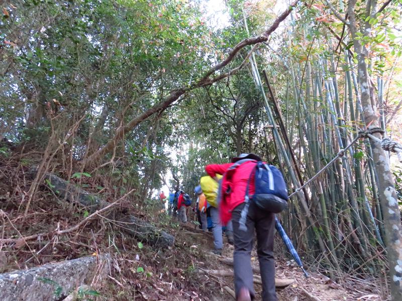 【高雄】旗靈大縱走、美濃中正湖、美光粄條