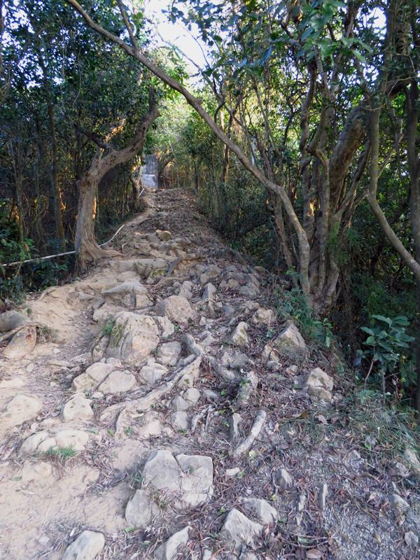 【高雄】旗靈大縱走、美濃中正湖、美光粄條