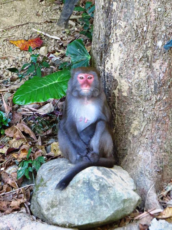 【高雄】旗靈大縱走、美濃中正湖、美光粄條