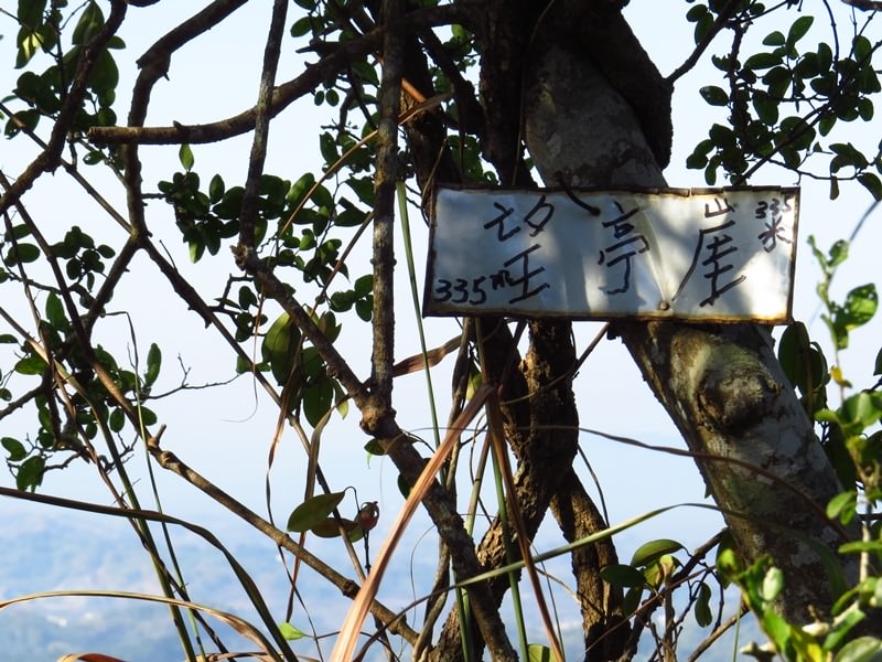 【高雄】旗靈大縱走、美濃中正湖、美光粄條