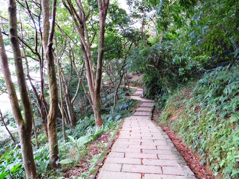 IMG_3708.jpg - 20150110:豹山、南港山