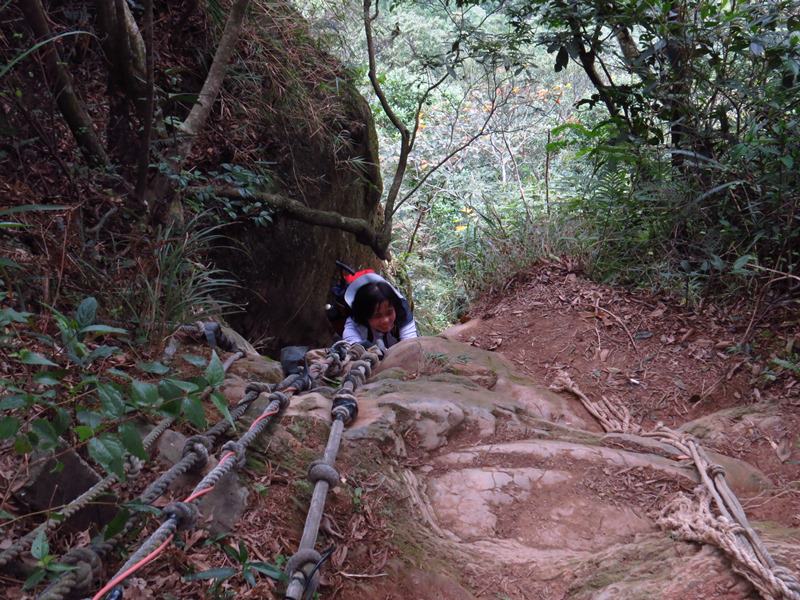 IMG_3720.jpg - 20150110:豹山、南港山