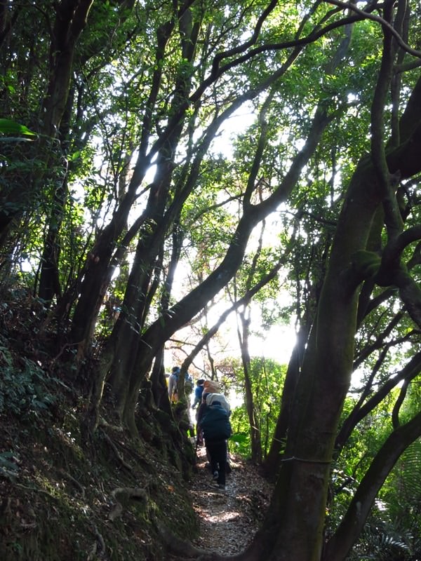 IMG_1088.jpg - 20150118:大同山、大凍山、石灰坑山