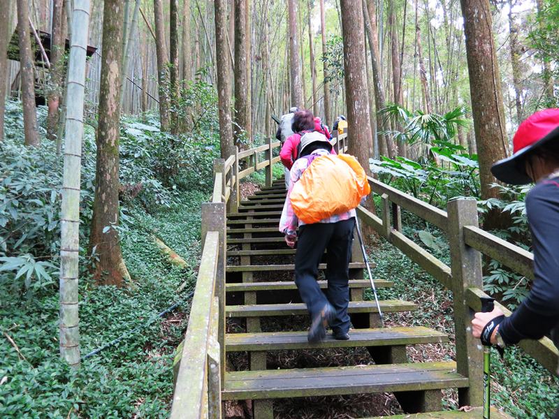 IMG_3792b.jpg - 20150125:奮起湖步道摩天嶺、光崙山連走