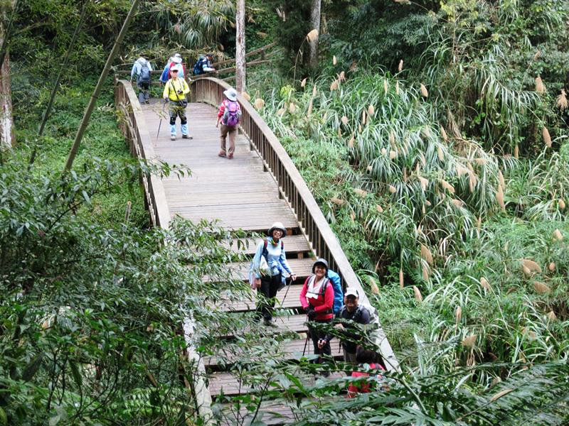 IMG_3811a.jpg - 20150125:奮起湖步道摩天嶺、光崙山連走