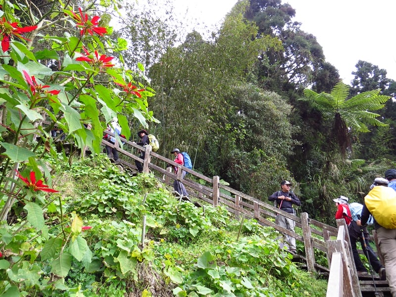 IMG_3792.jpg - 20150125:奮起湖步道摩天嶺、光崙山連走