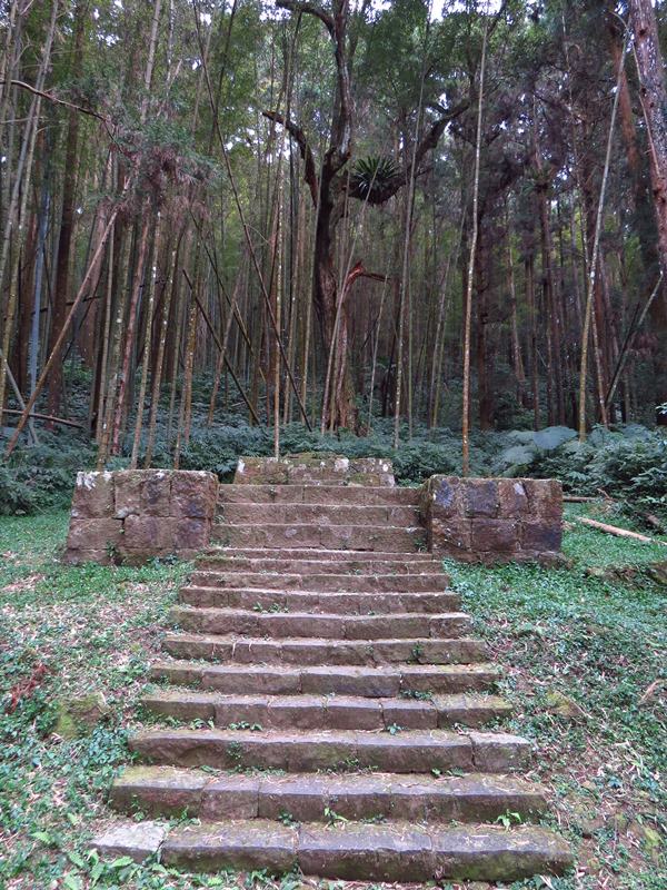 IMG_3807.jpg - 20150125:奮起湖步道摩天嶺、光崙山連走