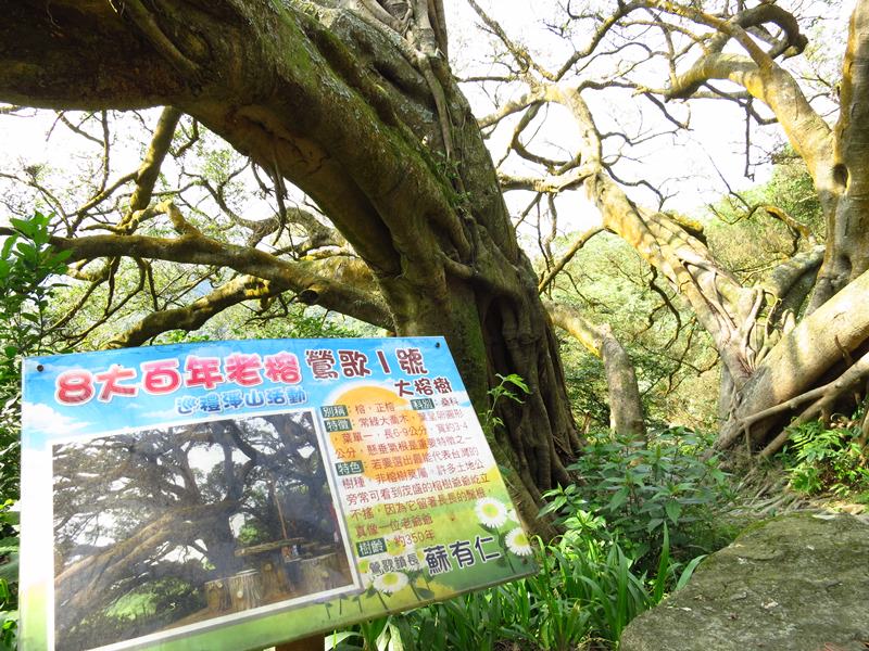 IMG_1070.jpg - 20150118:大同山、大凍山、石灰坑山