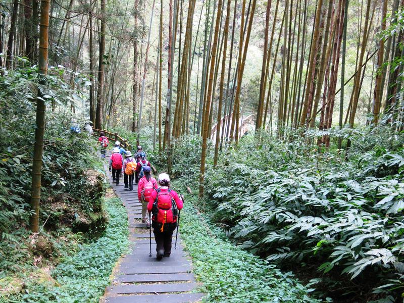 IMG_3796b.jpg - 20150125:奮起湖步道摩天嶺、光崙山連走