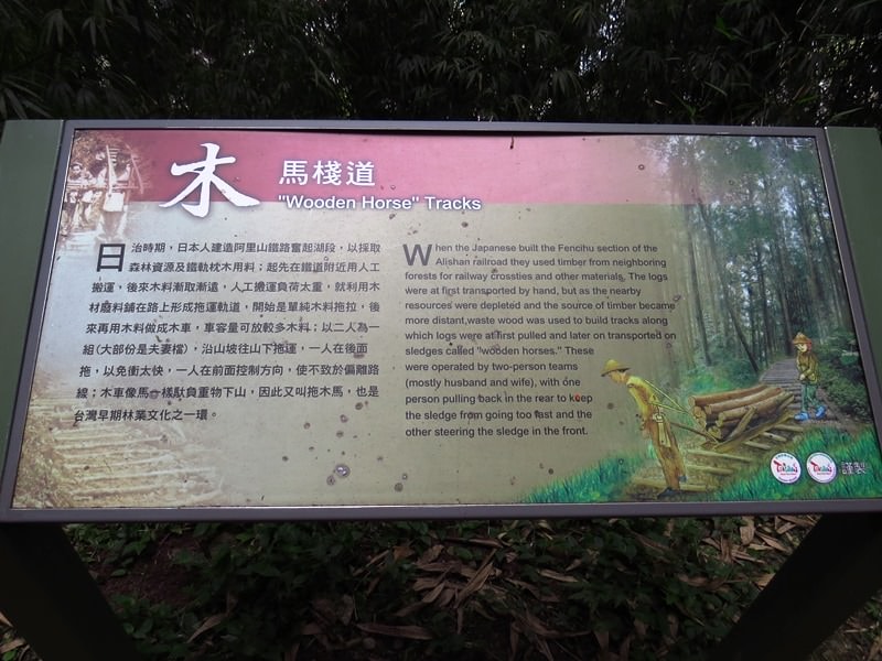 IMG_3800.jpg - 20150125:奮起湖步道摩天嶺、光崙山連走
