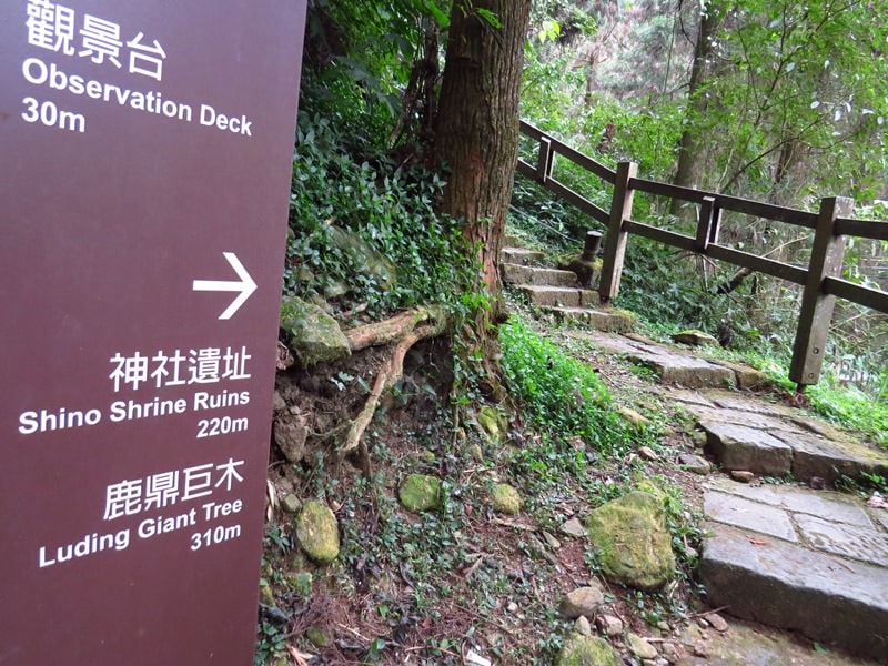 IMG_3802.jpg - 20150125:奮起湖步道摩天嶺、光崙山連走