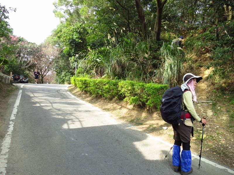 IMG_1000.jpg - 20150118:大同山、大凍山、石灰坑山