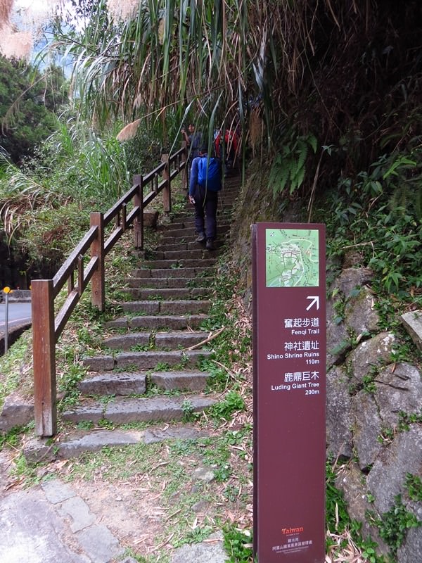 IMG_3804.jpg - 20150125:奮起湖步道摩天嶺、光崙山連走
