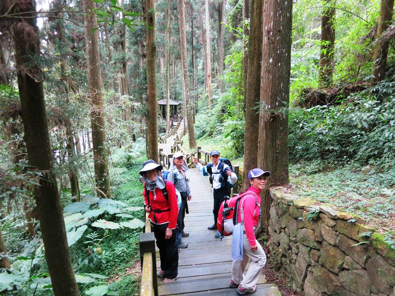 IMG_3814c.jpg - 20150125:奮起湖步道摩天嶺、光崙山連走