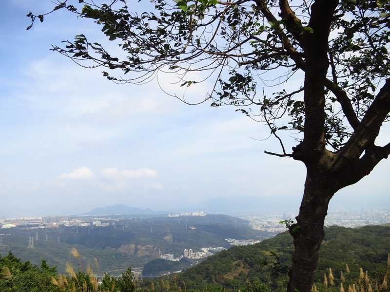 IMG_1026.jpg - 20150118:大同山、大凍山、石灰坑山