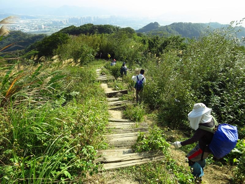 IMG_1085.jpg - 20150118:大同山、大凍山、石灰坑山