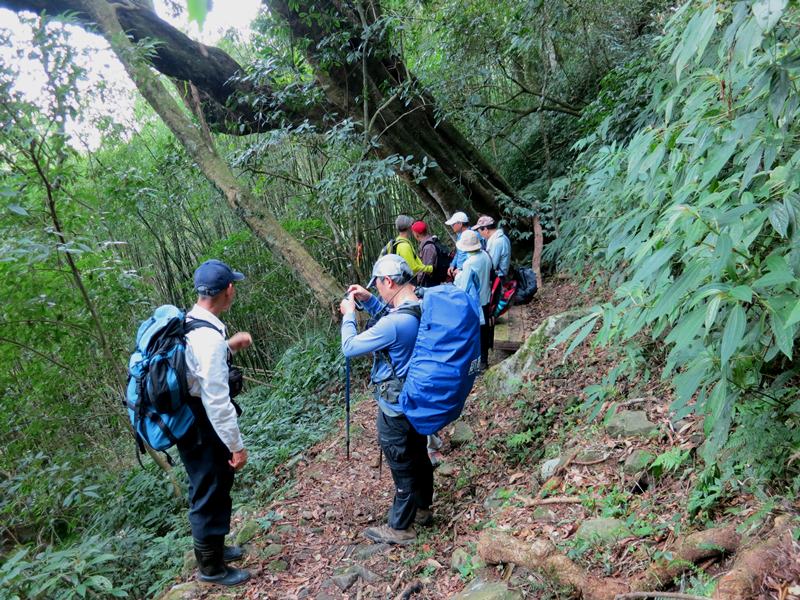 IMG_3827b.jpg - 20150125:奮起湖步道摩天嶺、光崙山連走