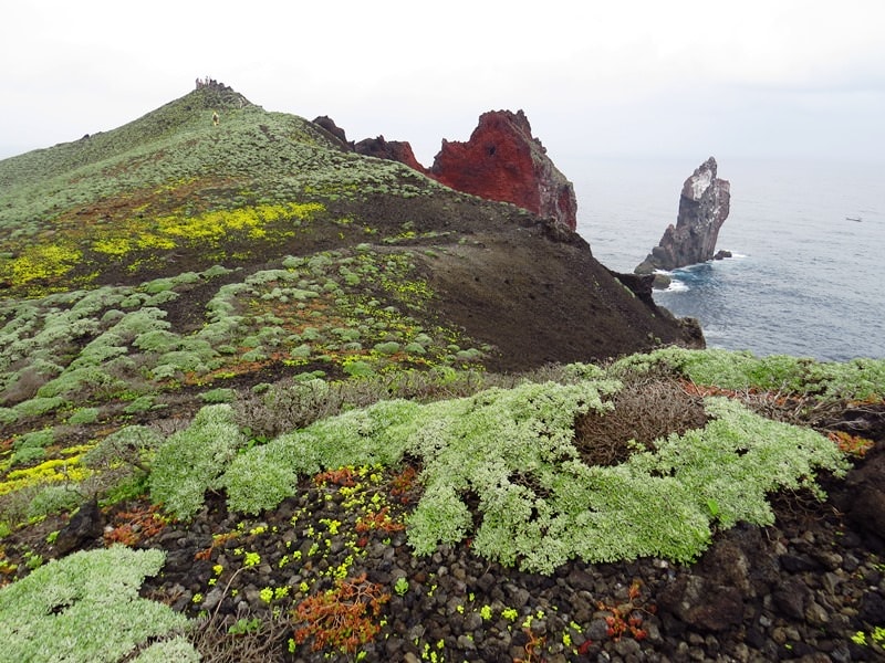 IMG_5741.jpg - 20150418:北方三島─花瓶嶼、彭佳嶼、棉花嶼