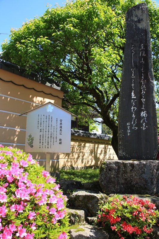 BX4A9058.jpg - 20150426:北九州-太宰府天滿宮、河內藤園