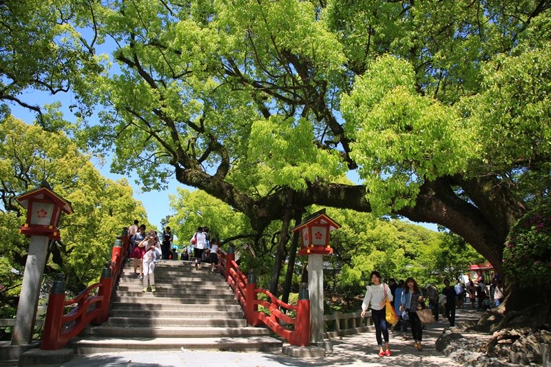 0BX4A9017.jpg - 20150426:北九州-太宰府天滿宮、河內藤園